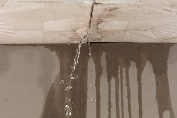 Professional Flood Damage Cleanup technician working in Palms, MI